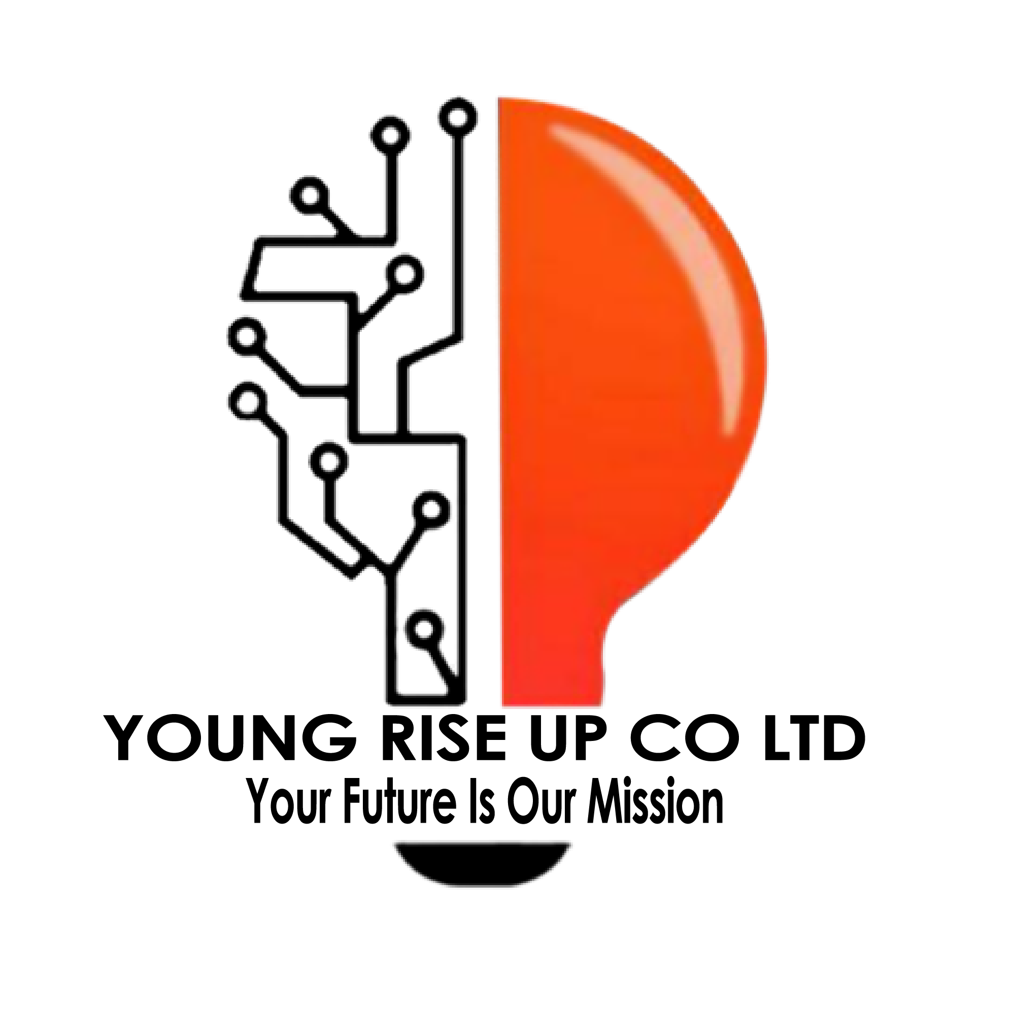 YOUNG RISE UP CO LTD